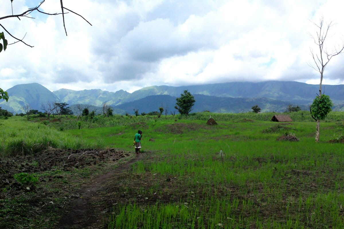 The green slopes of the Nimba Mountains under a cloudy sky